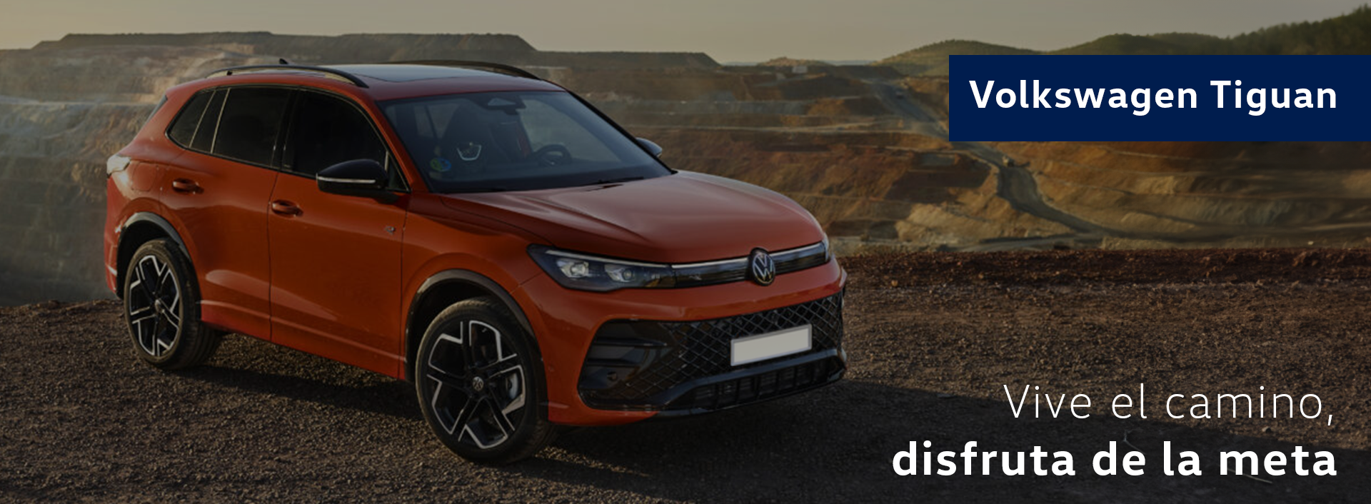 Tiguan b